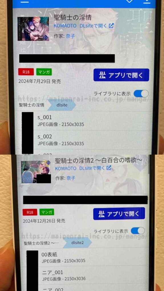 『聖騎士の淫情』と『聖騎士の淫情2』を実際に購入して読んでいる写真